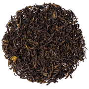 The Master – Mao Feng Green Tea image 1